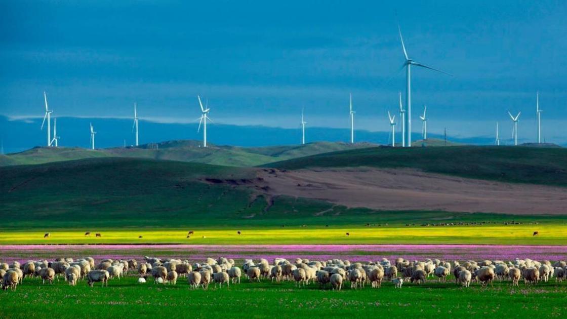 内蒙古草原上的温馨时光,探寻日常故事中的温情与美好